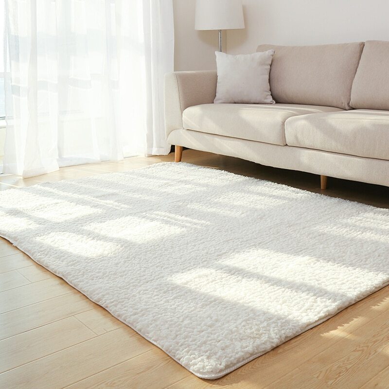 Plush Soft White Carpet